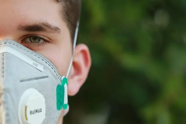 Guide d'Achat : Meilleur Système de Protection pour Plantes