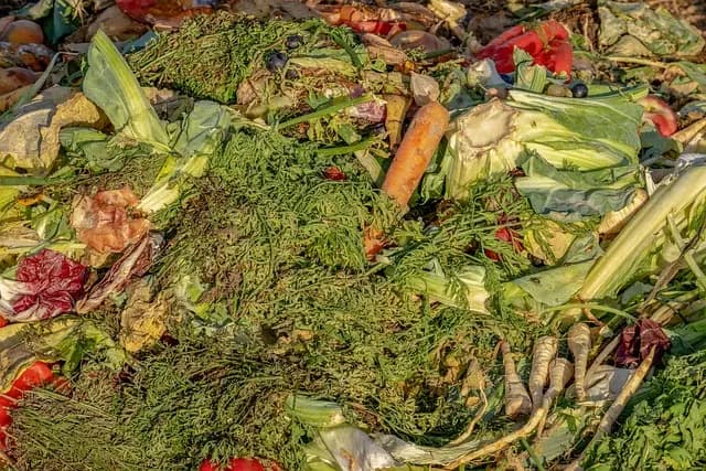 Guide d'achat : Meilleur broyeur de compost