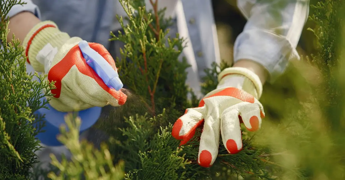 Meilleurs désherbants naturels : guide d'achat complet