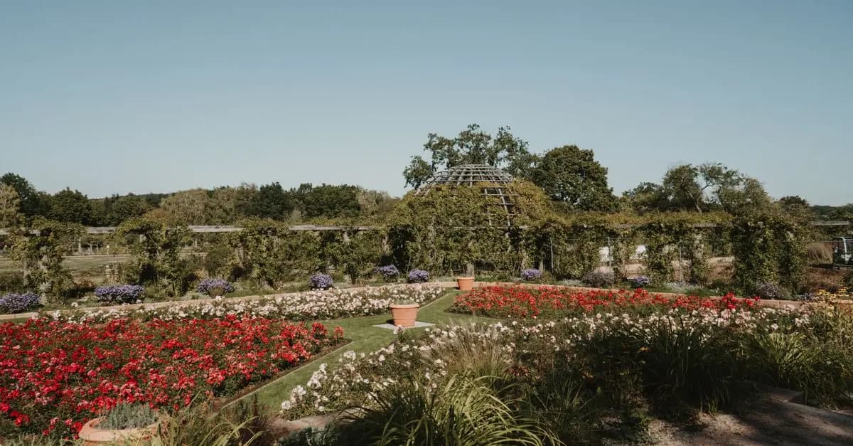 Guide d'achat : meilleur brise-vue de jardin