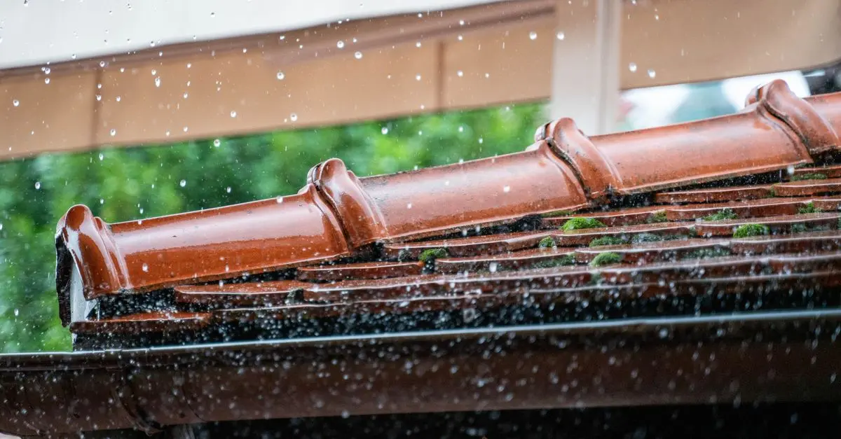 Guide d'Achat : Système de Récupération d'Eau de Pluie