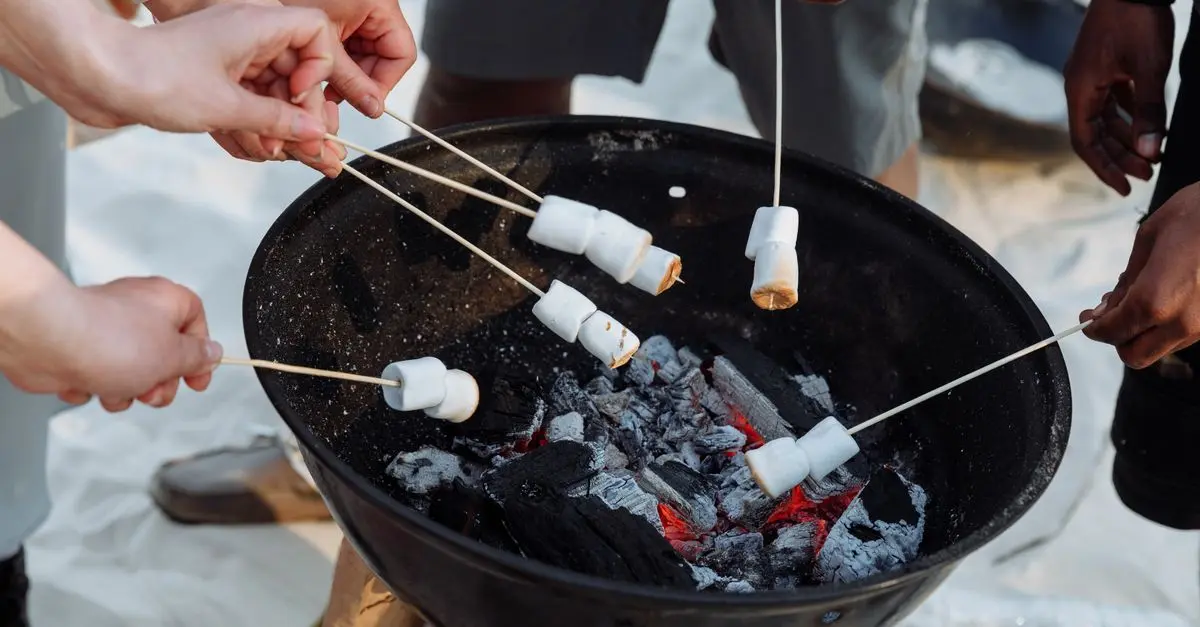 Guide d'achat barbecue électrique